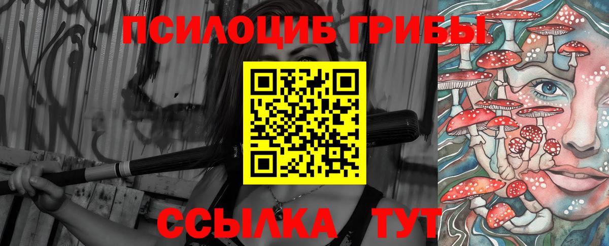 Галлюциногенные грибы Psilocybe Нягань